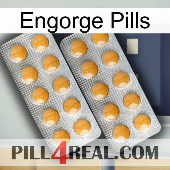 Engorge Pills levitra2.jpg